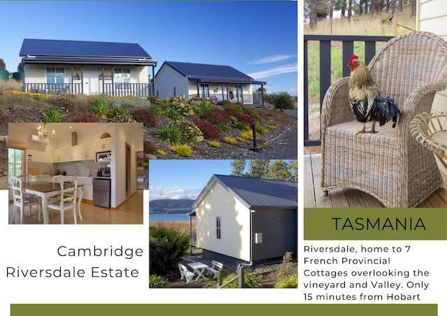 Collage of holiday accommodation on wine estate