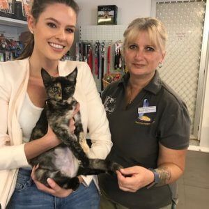 Two ladies standing next to each other holding a beautiful checkered cat.