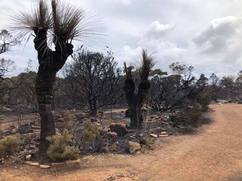 Bush Garden destroyed by bush fires